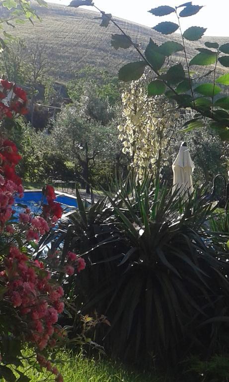 Montebello di BertonaAgriturismo La Solagna别墅 外观 照片