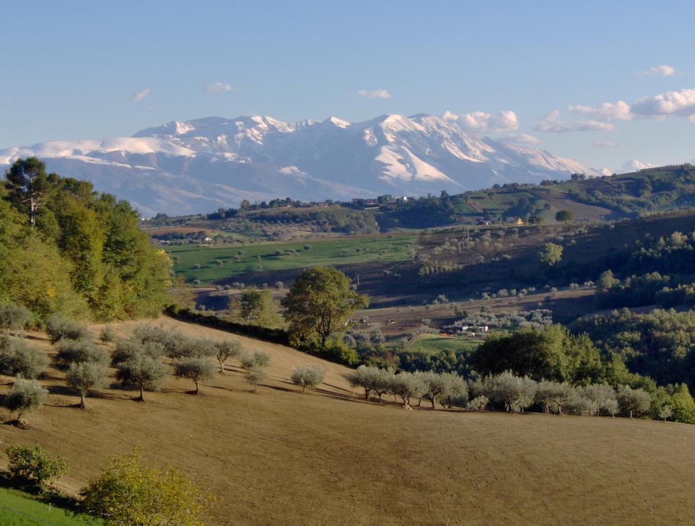 Montebello di BertonaAgriturismo La Solagna别墅 外观 照片