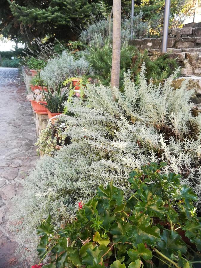 Montebello di BertonaAgriturismo La Solagna别墅 外观 照片